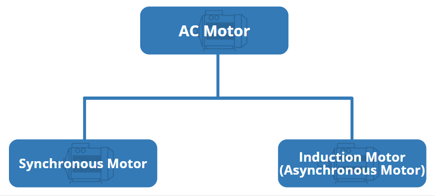 AC Motor Types