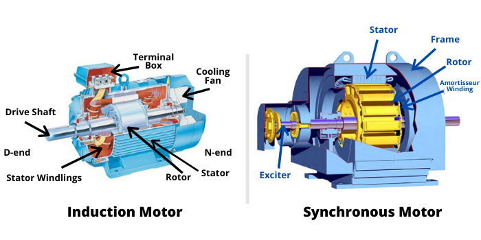 induction and synchronous motor