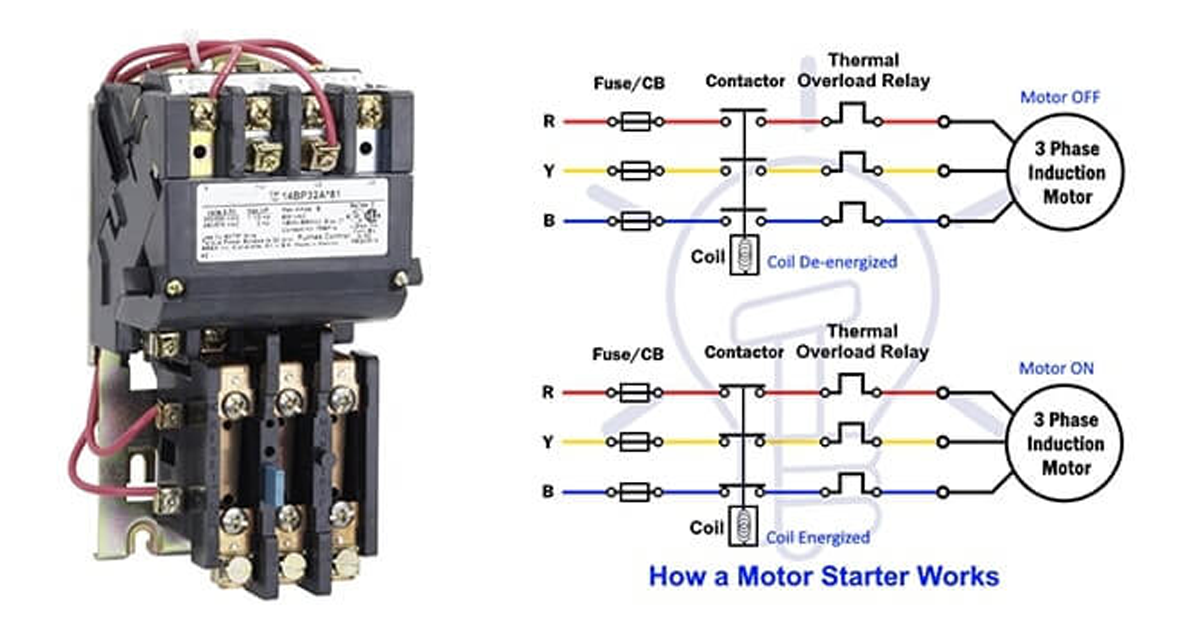 What is a motor starter? How does a motor starter work?